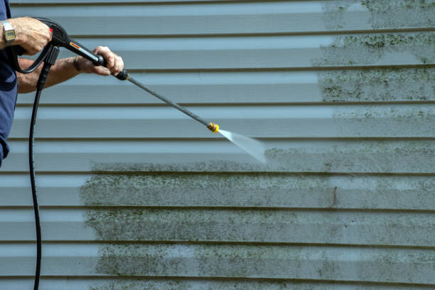 Best Solar Panel Cleaning  in Bromley, KY